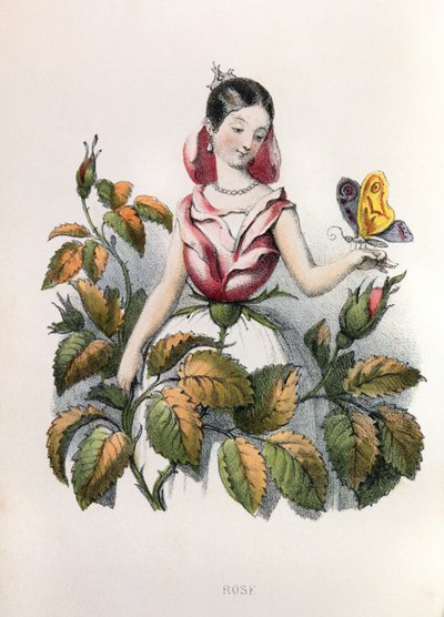  door Louis Simon (1810-1870) Lassalle