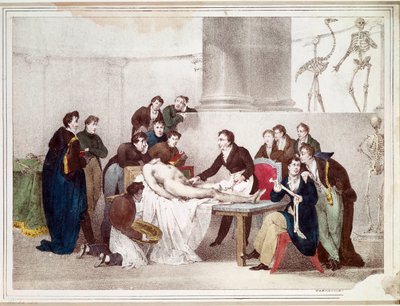 De anatomische les door Louis Thomas Bardel