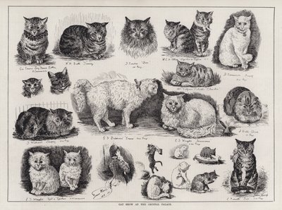 Kattenshow in het Crystal Palace door Louis Wain