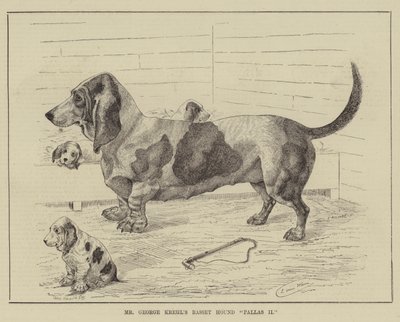 De Basset Hound Pallas II van Mr George Krehl door Louis Wain