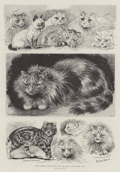 Prijswinnaars op de National Cat Club Show in het Crystal Palace door Louis Wain