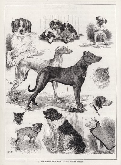 De Kennel Club Show in het Crystal Palace door Louis Wain