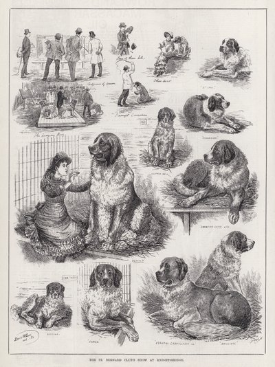 De St. Bernard Club Show in Knightsbridge door Louis Wain