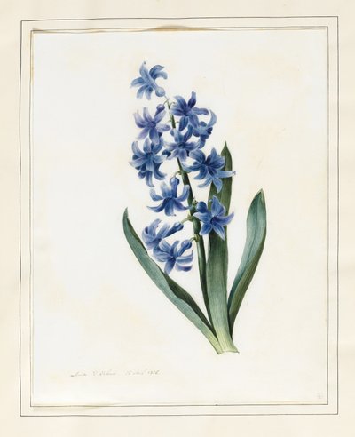 Hyacint, 1826 door Louise DOrleans