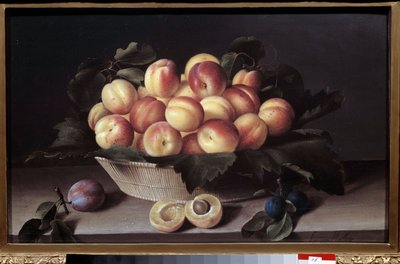 Stilleven met abrikozen door Louise Moillon
