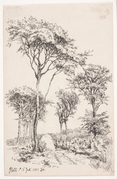 Boslandschap met Vrijstaande Bomen door Louise Ravn Hansen