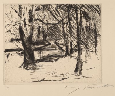 Bäume mit Sonne door Lovis Corinth