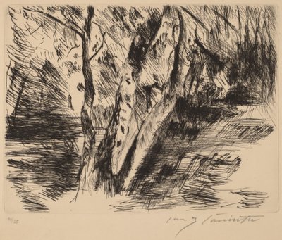 Berkenstammen in de Tiergarten door Lovis Corinth