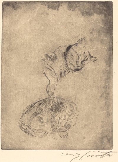 Kattenstudie, 1920 door Lovis Corinth