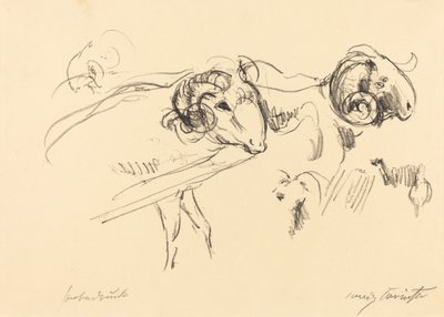 Schafböcke Rams, 1912 door Lovis Corinth