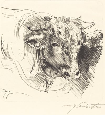 Stierenkop (Stierkopf) door Lovis Corinth