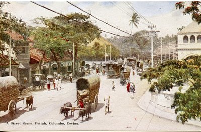Straatscène, Pettah, Colombo, Ceylon, ca. 1900-20 (handgekleurde foto) door Ltd. Ceylon Plâté