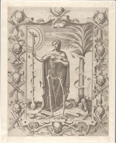 Vanitas door Luca Bertelli