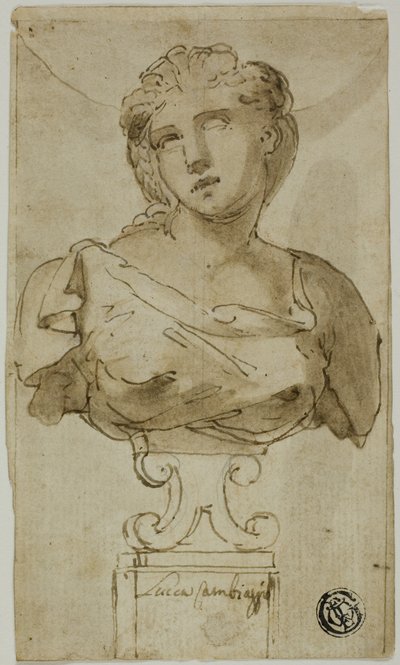 Borstbeeld van een vrouw door Luca Cambiaso