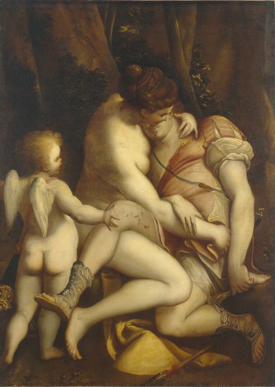 Venus en Adonis door Luca Cambiaso