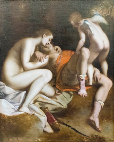 Venus treurt om de dood van Adonis door Luca Cambiaso