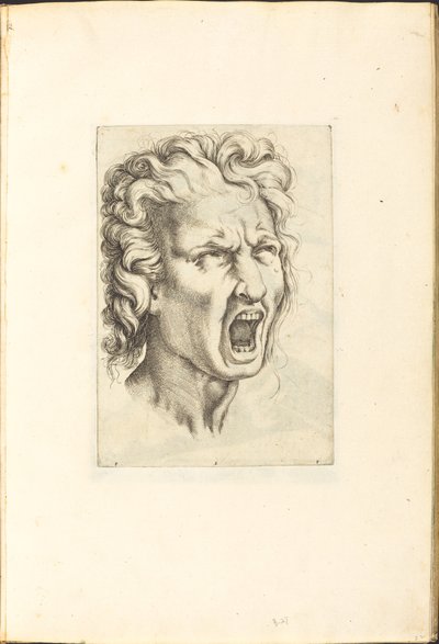 Afdruk uit tekenboek door Luca Ciamberlano