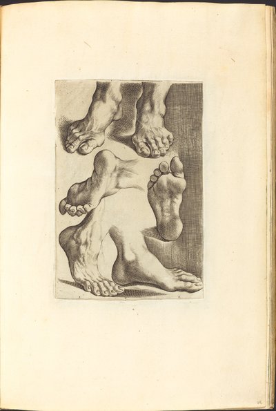Afdruk uit Tekenboek door Luca Ciamberlano