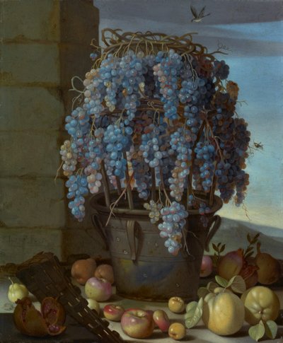 Stilleven met druiven en ander fruit door Luca Forte