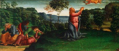 Verhalen van Christus: Christus in de Tuin van Getsemane door Luca Signorelli