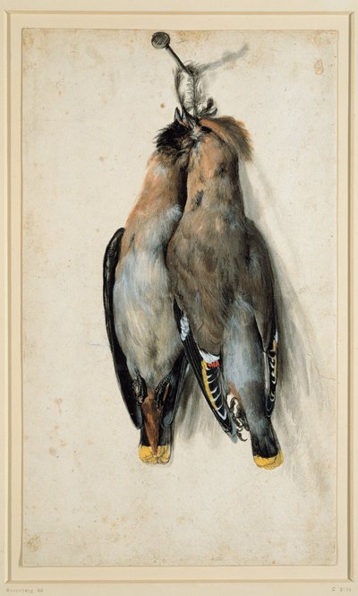 Twee dode pestvogels door Lucas Cranach the Elder
