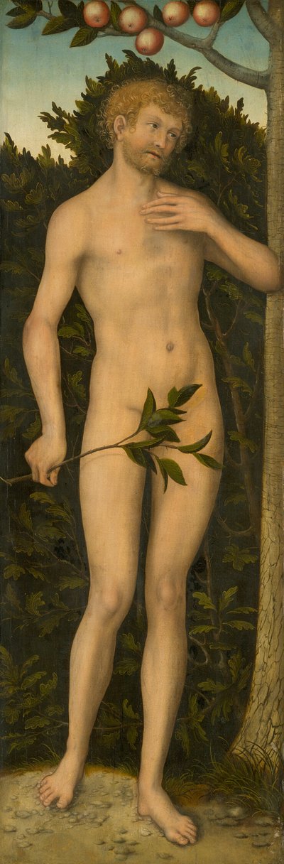 Adam door Lucas Cranach the Elder