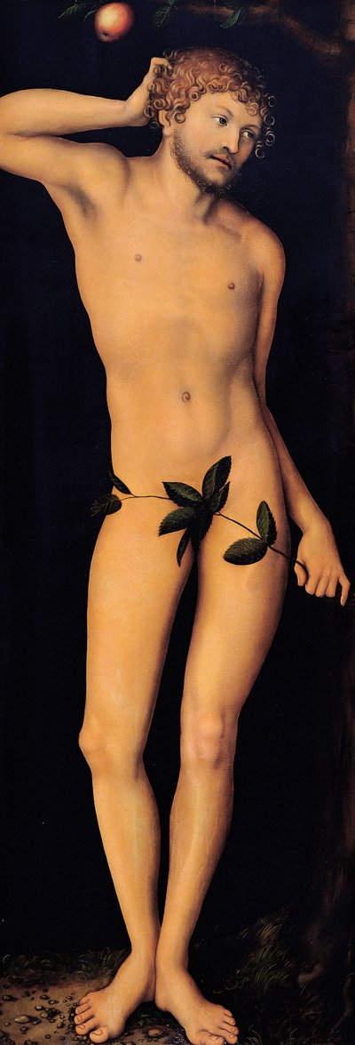 Adam, 1528 door Lucas Cranach the Elder