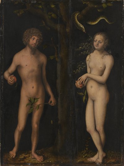 Duits: Adam und Eva Adam en Eva door Lucas Cranach the Elder