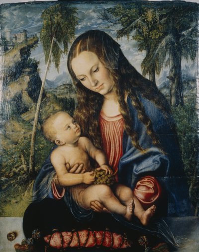 Madonna onder de sparrenboom, c.1510 door Lucas Cranach the Elder