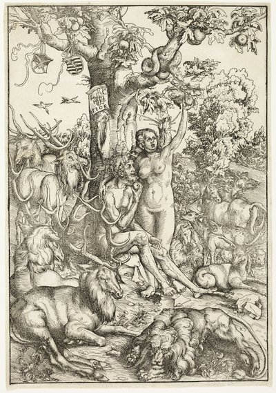 De zondeval van de mens door Lucas Cranach the Elder