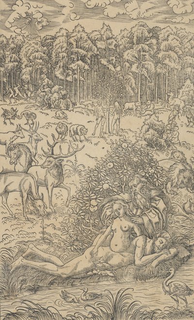 De Schepping van Eva door Lucas Cranach the Younger  