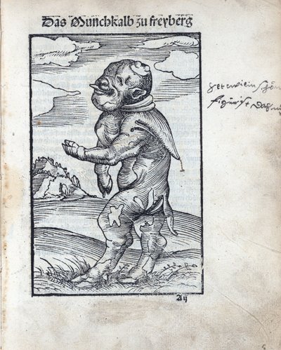 Monnikskalf van Freiberg (Das Mönchskalb zu Freiberg), door Cranach, Lucas, de Oudere (1472-1553). Houtsnede door Lucas the Elder Cranach
