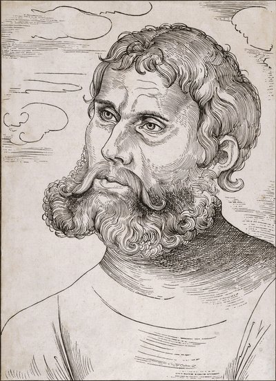 Portret van Maarten Luther als 