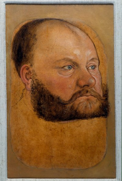 Portret van Prins Wolf Anhalt van Saksen, Prins van de Hervorming door Lucas the Elder Cranach