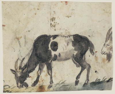 Studie van geiten (verso), c.1520-30 door Lucas the Elder Cranach