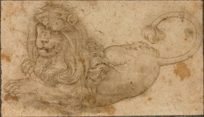 Studie van een leeuw door Lucas the Elder Cranach
