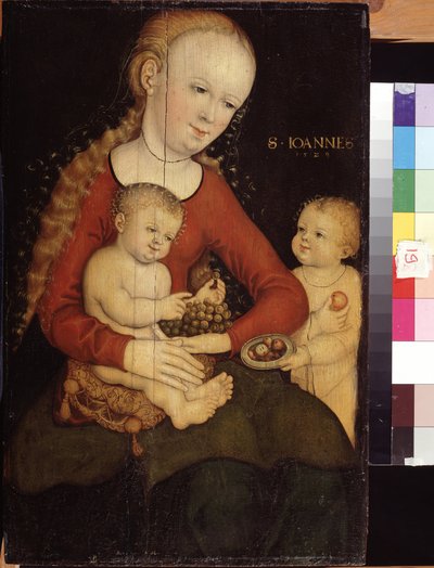 Maagd en kind met Johannes de Doper als jongen door Lucas the Elder Cranach