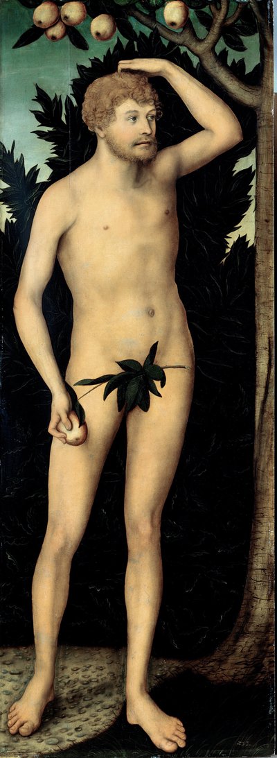 Adam door Lucas the Younger Cranach