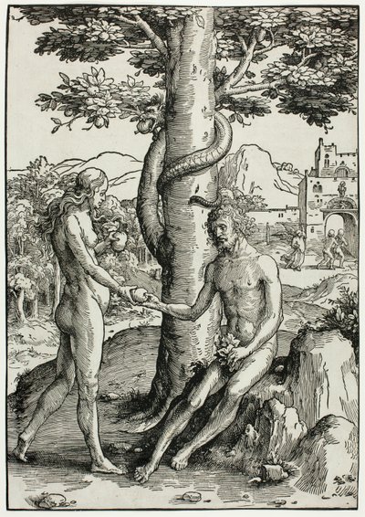 Adam en Eva (De zondeval) door Lucas van Leyden