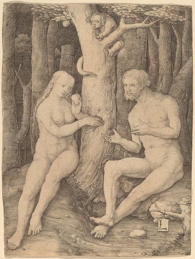 De val van de mens door Lucas van Leyden