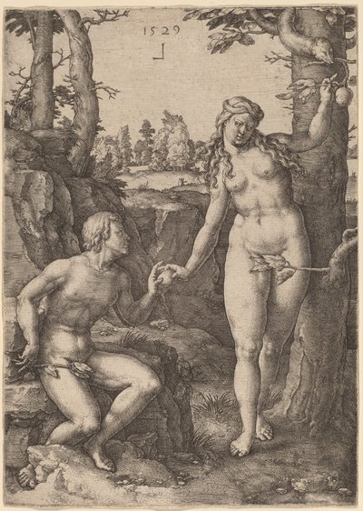 De val van de mens door Lucas van Leyden