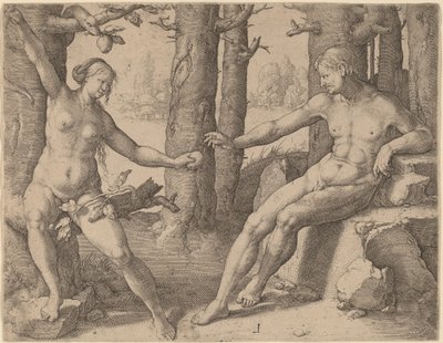 De val van de mens door Lucas van Leyden