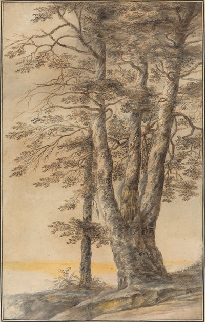 Studie van bomen door Lucas van Uden