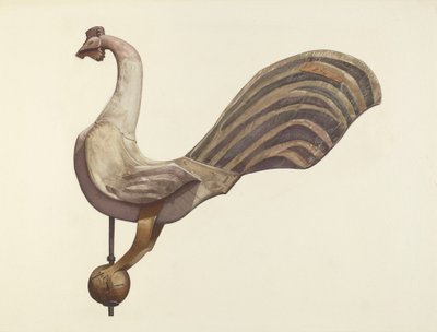 Haan Windwijzer door Lucille Chabot