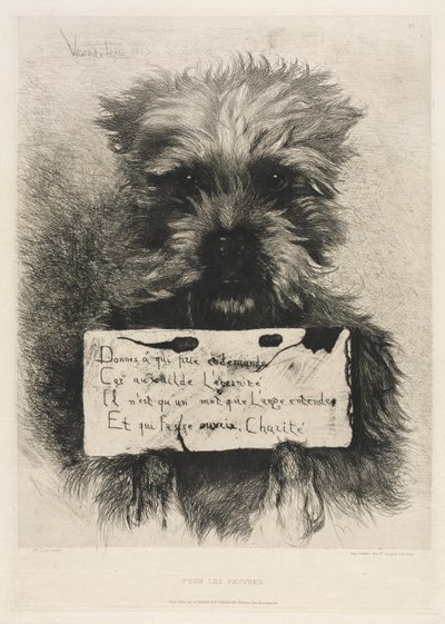 Voor de Armen door Ludovic Napoléon, Vicomte Lepic