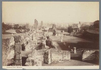 Ruïnes van de keizerlijke paleizen op de Palatijn te Rome door Ludovico Tuminello