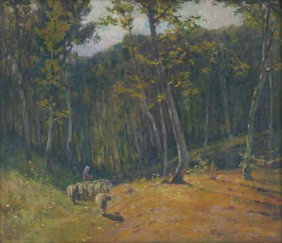 Schapen in het Bos door Ludovit Cordak