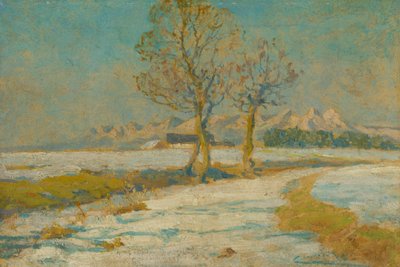 Winterlandschap in de Tatra door Ludovit Cordak