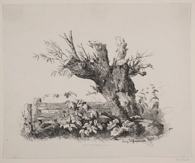 Bij een hek door Ludvig Messmann