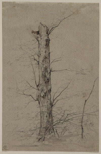 Boom door Ludwig Ferdinand Schnorr von Carolsfeld